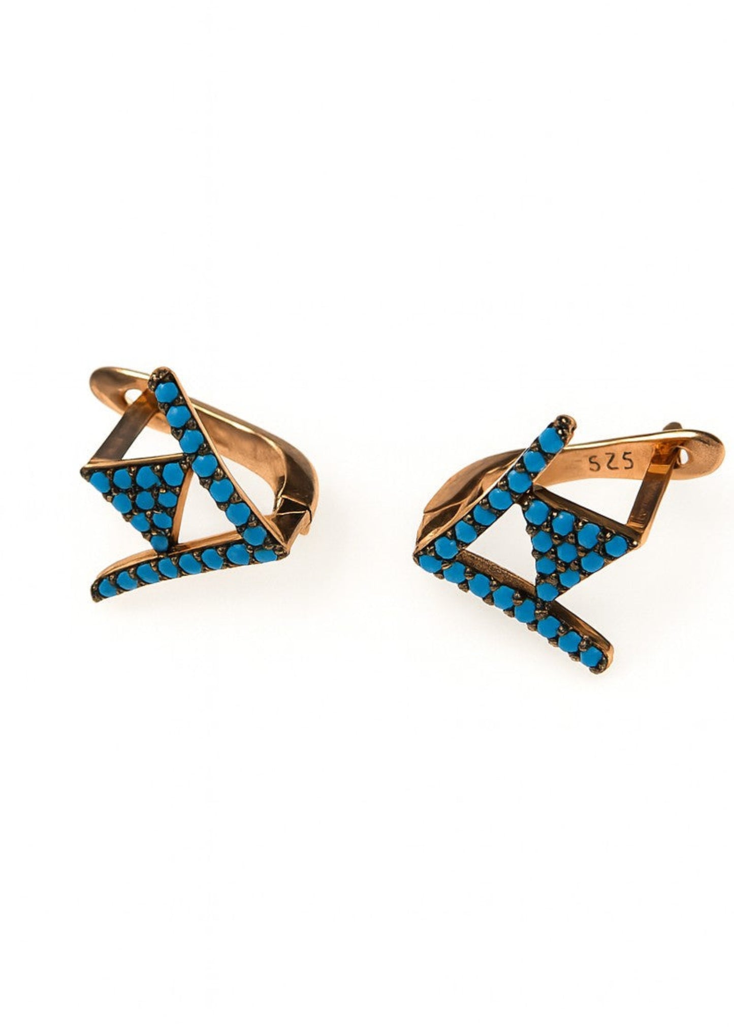 Pair of earrings with blue gemstones on a white background